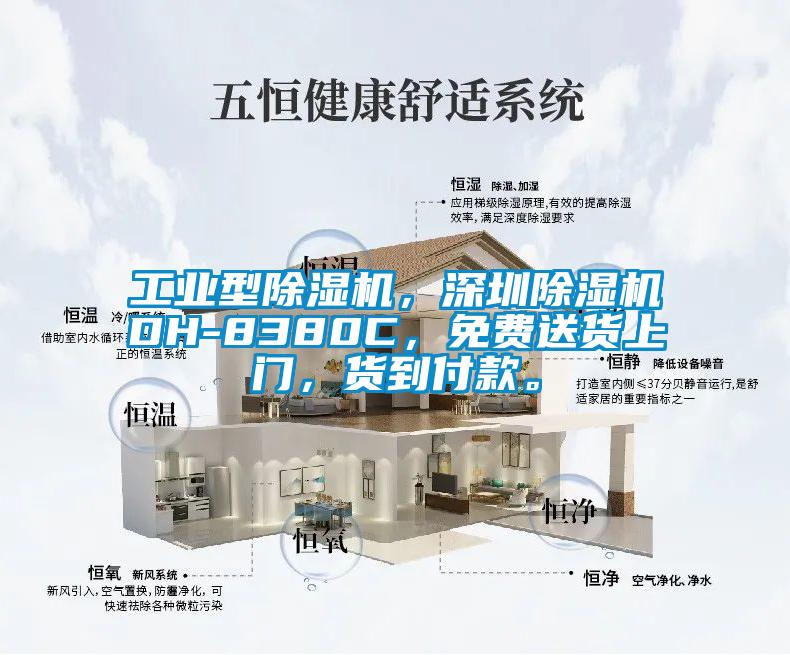 工業(yè)型除濕機(jī)，深圳除濕機(jī)DH-8380C，免費(fèi)送貨上門，貨到付款。