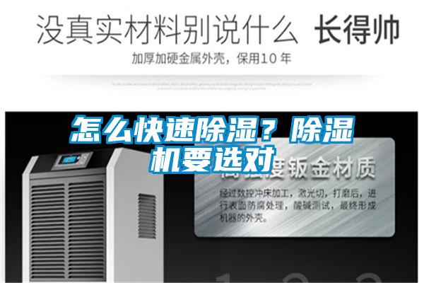 怎么快速除濕？除濕機要選對