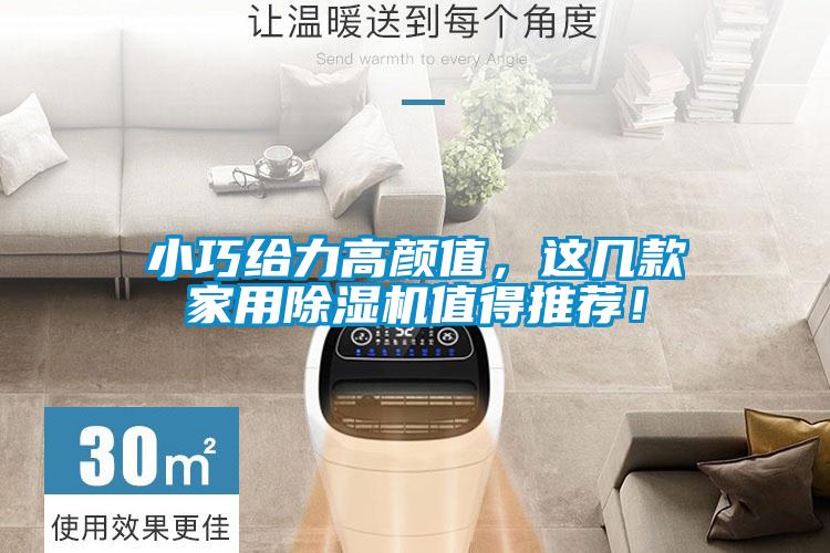 小巧給力高顏值，這幾款家用除濕機(jī)值得推薦！
