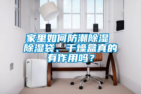 家里如何防潮除濕 除濕袋、干燥盒真的有作用嗎？