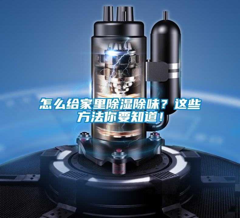怎么給家里除濕除味？這些方法你要知道！
