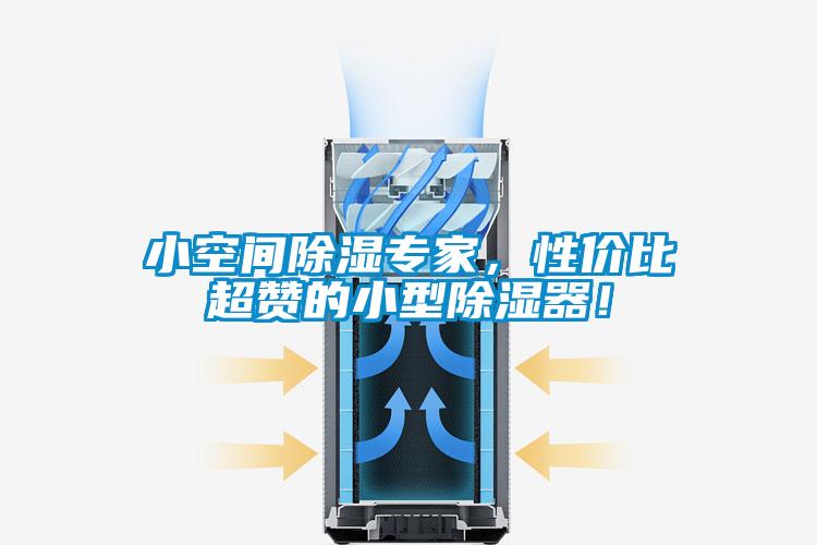 小空間除濕專家，性價比超贊的小型除濕器！