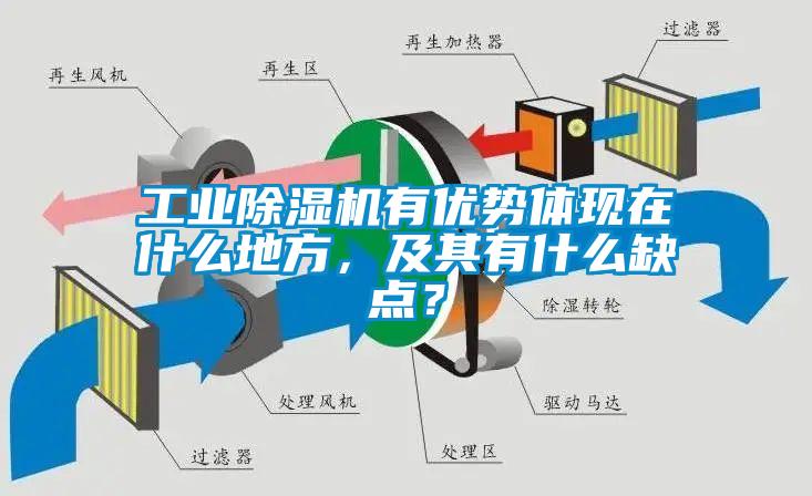 工業(yè)除濕機有優(yōu)勢體現(xiàn)在什么地方，及其有什么缺點？