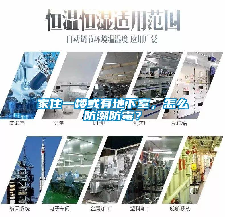 家住一樓或有地下室，怎么防潮防霉？
