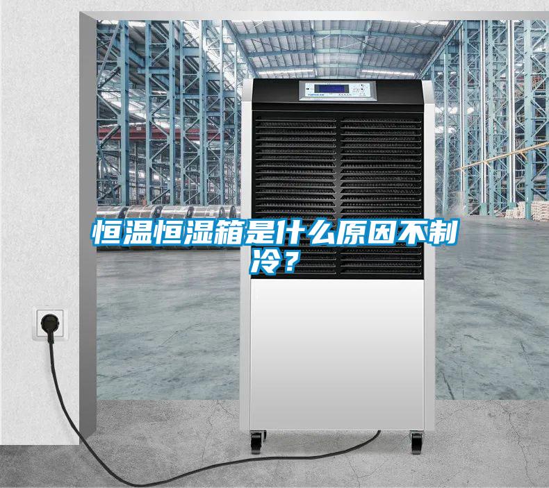 恒溫恒濕箱是什么原因不制冷？