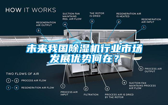 未來(lái)我國(guó)除濕機(jī)行業(yè)市場(chǎng)發(fā)展優(yōu)勢(shì)何在？