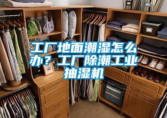 工廠地面潮濕怎么辦？工廠除潮工業(yè)抽濕機(jī)