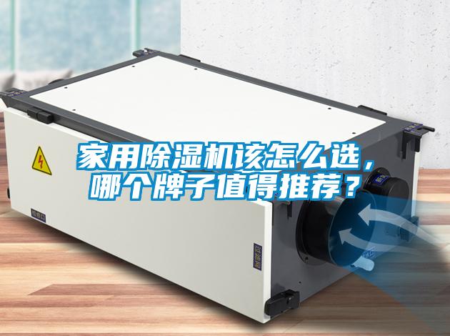 家用除濕機該怎么選，哪個牌子值得推薦？