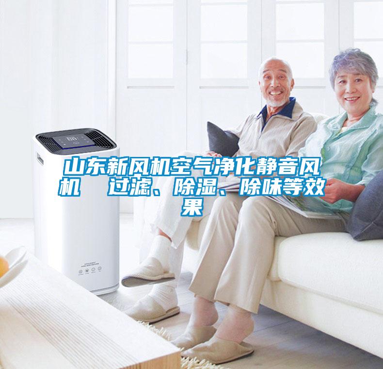 山東新風(fēng)機(jī)空氣凈化靜音風(fēng)機(jī)  過濾、除濕、除味等效果