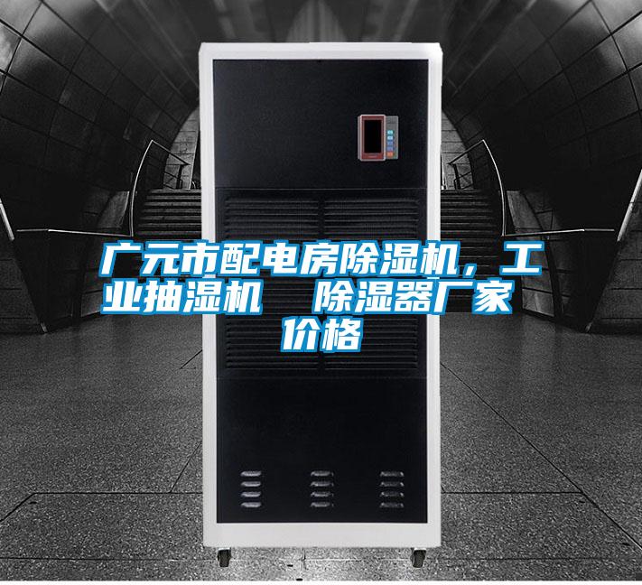 廣元市配電房除濕機(jī)，工業(yè)抽濕機(jī)  除濕器廠家 價(jià)格