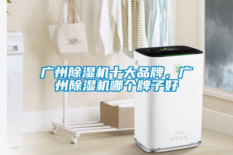 廣州除濕機(jī)十大品牌，廣州除濕機(jī)哪個牌子好