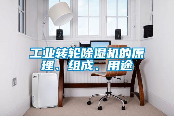 工業(yè)轉(zhuǎn)輪除濕機的原理、組成、用途
