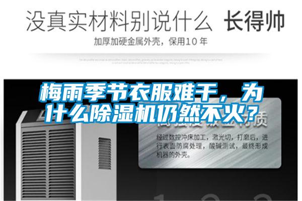 梅雨季節(jié)衣服難干，為什么除濕機仍然不火？