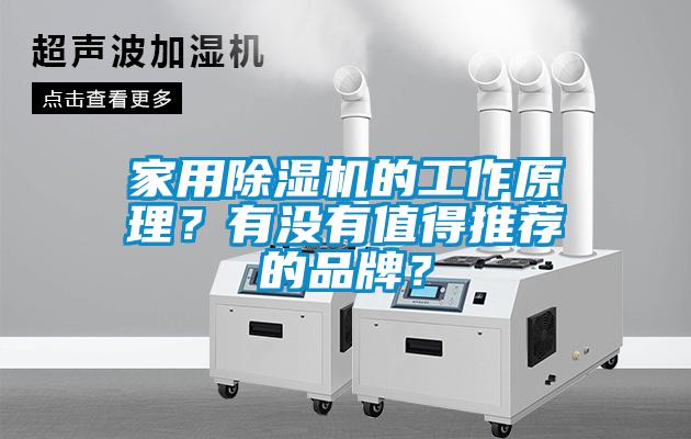 家用除濕機的工作原理？有沒有值得推薦的品牌？