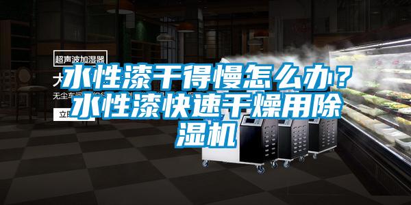 水性漆干得慢怎么辦？水性漆快速干燥用除濕機