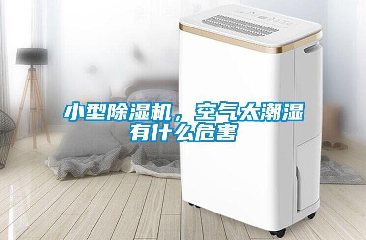 小型除濕機(jī)，空氣太潮濕有什么危害