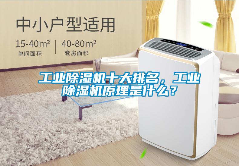 工業(yè)除濕機(jī)十大排名，工業(yè)除濕機(jī)原理是什么？