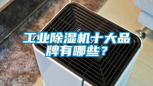 工業(yè)除濕機(jī)十大品牌有哪些？