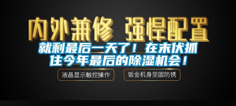 就剩最后一天了！在末伏抓住今年最后的除濕機(jī)會(huì)！