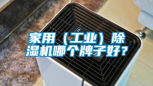 家用（工業(yè)）除濕機哪個牌子好？