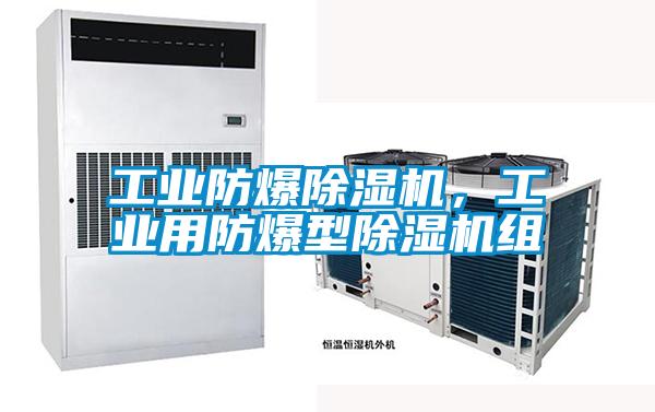 工業(yè)防爆除濕機，工業(yè)用防爆型除濕機組