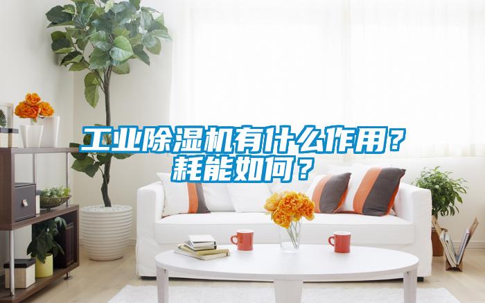 工業(yè)除濕機有什么作用？耗能如何？