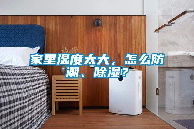 家里濕度太大，怎么防潮、除濕？