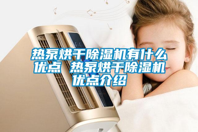 熱泵烘干除濕機(jī)有什么優(yōu)點 熱泵烘干除濕機(jī)優(yōu)點介紹