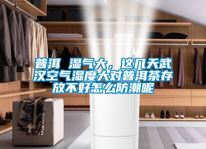 普洱 濕氣大，這幾天武漢空氣濕度大對(duì)普洱茶存放不好怎么防潮呢