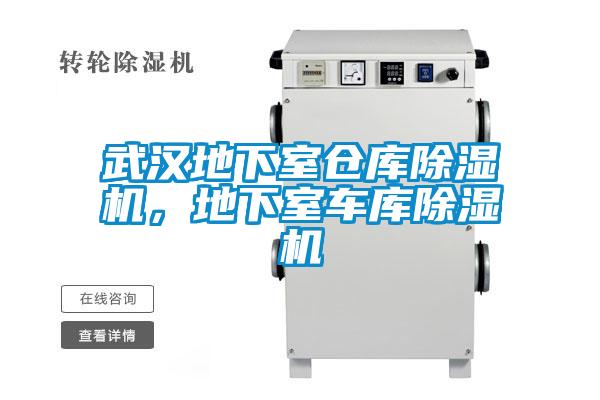 武漢地下室倉(cāng)庫(kù)除濕機(jī)，地下室車庫(kù)除濕機(jī)