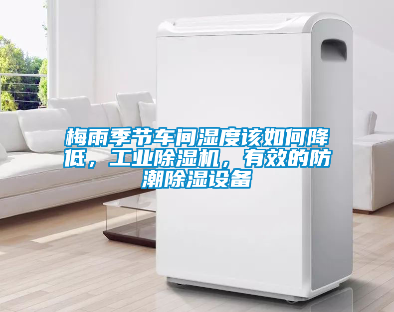 梅雨季節(jié)車間濕度該如何降低，工業(yè)除濕機，有效的防潮除濕設備
