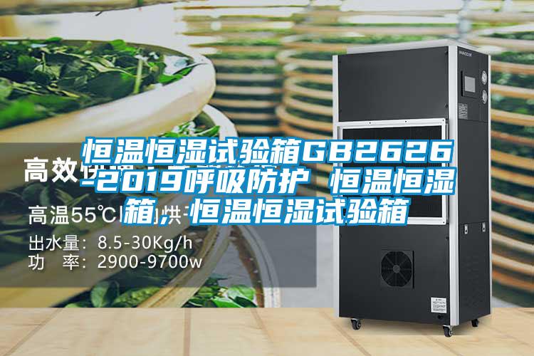 恒溫恒濕試驗(yàn)箱GB2626-2019呼吸防護(hù) 恒溫恒濕箱，恒溫恒濕試驗(yàn)箱