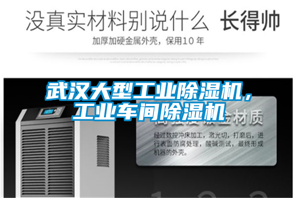 武漢大型工業(yè)除濕機(jī)，工業(yè)車間除濕機(jī)