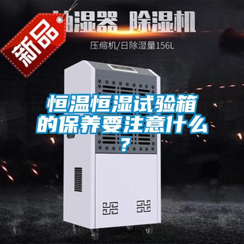 恒溫恒濕試驗箱的保養(yǎng)要注意什么？