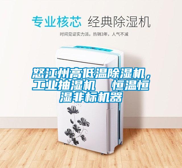 怒江州高低溫除濕機(jī)，工業(yè)抽濕機(jī)  恒溫恒濕非標(biāo)機(jī)器