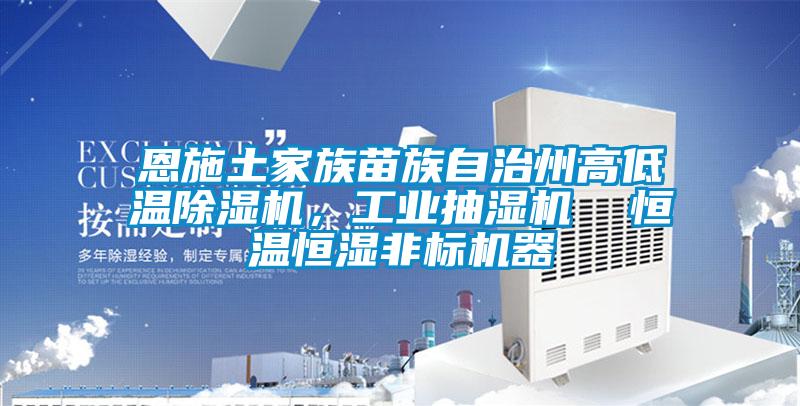 恩施土家族苗族自治州高低溫除濕機，工業(yè)抽濕機  恒溫恒濕非標機器