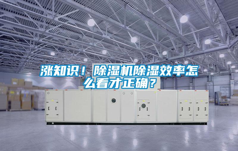 漲知識！除濕機除濕效率怎么看才正確？