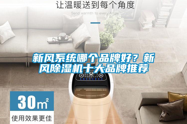 新風(fēng)系統(tǒng)哪個品牌好？新風(fēng)除濕機(jī)十大品牌推薦