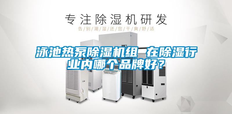 泳池?zé)岜贸凉駲C(jī)組 在除濕行業(yè)內(nèi)哪個品牌好？