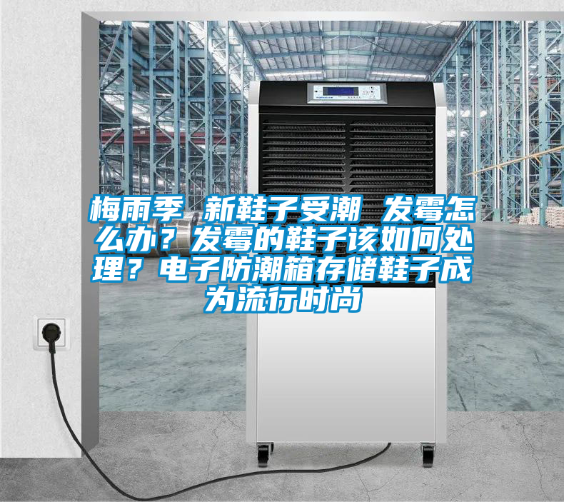 梅雨季 新鞋子受潮 發(fā)霉怎么辦？發(fā)霉的鞋子該如何處理？電子防潮箱存儲鞋子成為流行時尚