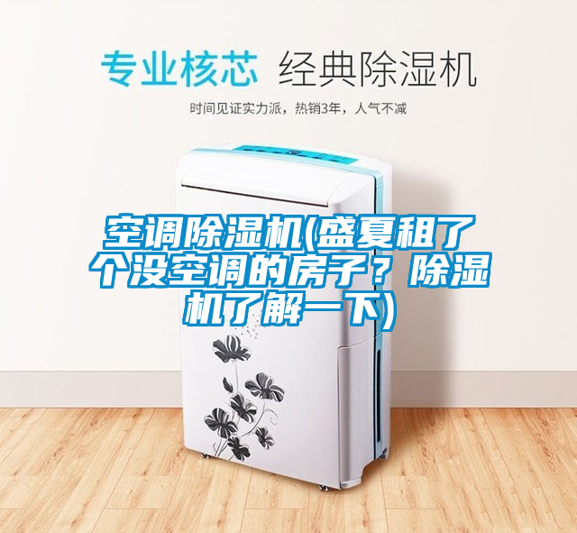 空調除濕機(盛夏租了個沒空調的房子？除濕機了解一下)