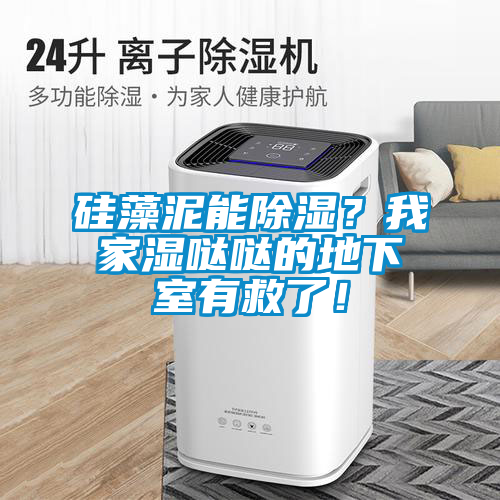 硅藻泥能除濕？我家濕噠噠的地下室有救了！