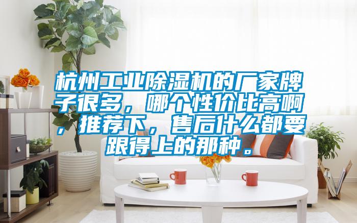 杭州工業(yè)除濕機(jī)的廠家牌子很多，哪個(gè)性價(jià)比高啊，推薦下，售后什么都要跟得上的那種。