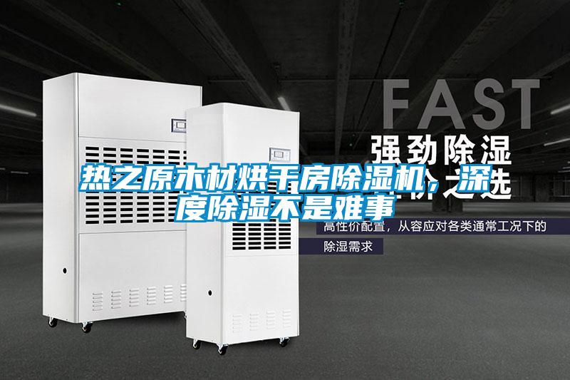 熱之原木材烘干房除濕機，深度除濕不是難事