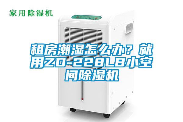 租房潮濕怎么辦？就用ZD-228LB小空間除濕機(jī)