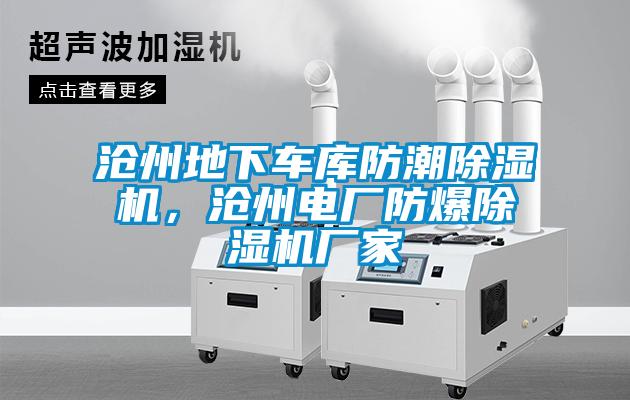 滄州地下車庫防潮除濕機(jī)，滄州電廠防爆除濕機(jī)廠家