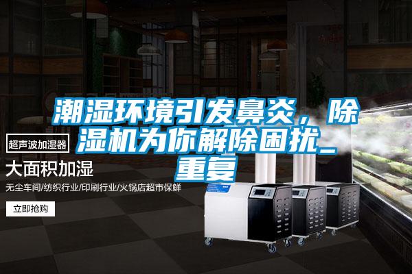 潮濕環(huán)境引發(fā)鼻炎，除濕機(jī)為你解除困擾_重復(fù)