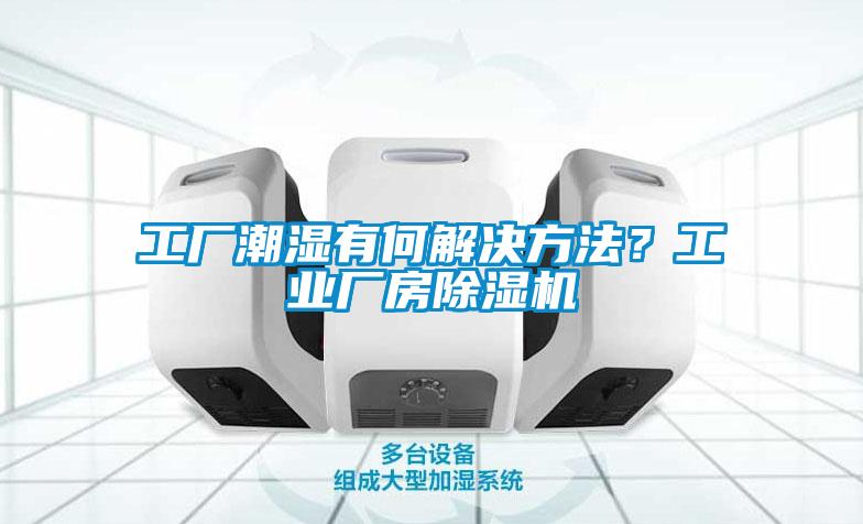 工廠潮濕有何解決方法？工業(yè)廠房除濕機(jī)