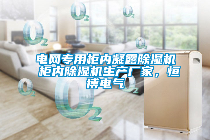 電網(wǎng)專用柜內(nèi)凝露除濕機(jī) 柜內(nèi)除濕機(jī)生產(chǎn)廠家，恒博電氣