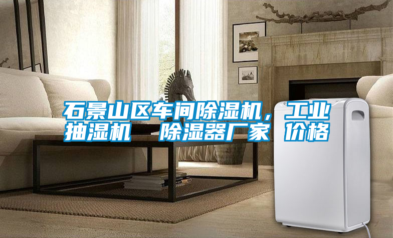 石景山區(qū)車(chē)間除濕機(jī)，工業(yè)抽濕機(jī)  除濕器廠家 價(jià)格